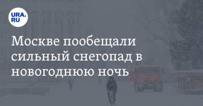 Петр Бирюков - Москве пообещали сильный снегопад в новогоднюю ночь - ura.news - Москва - Свердловская обл.