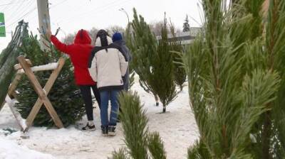 Многие пензенцы пришли за елкой на базар 31 декабря - penzainform.ru - Пенза