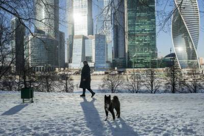 Москвичам рассказали о погоде в первые дни 2022 года - vm.ru - Москва - Москва