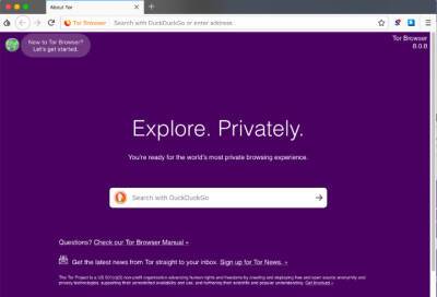 Екатерина Мизулина - В России зафиксированы ограничения работы Tor Browser, дающего выход в "даркнет" - online47.ru - Россия