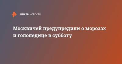 Москвичей предупредили о морозах и гололедице в субботу - ren.tv - Москва - Россия - Московская обл.