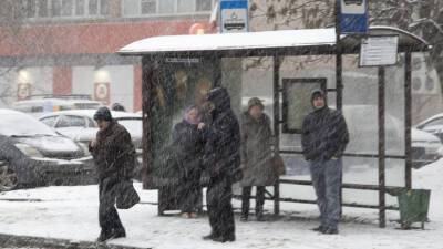 Из-за ветра в Москве объявлен «желтый» уровень погодной опасности - mir24.tv - Москва - Россия - Московская обл.