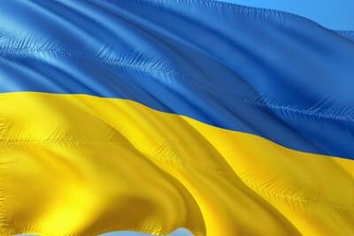 Юрий Бойко - Украине посоветовали начать переговоры с Россией по Донбассу и газу - lenta.ru - Россия - Украина - Киев