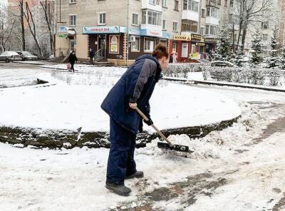 За неделю в Смоленской области резко вырос спрос на услуги дворников - rabochy-put.ru - Москва - Россия - Смоленская обл.
