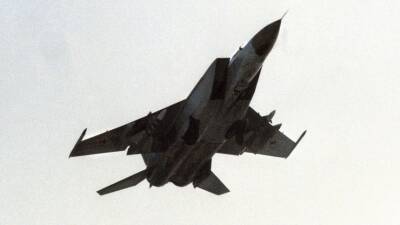 Японский военный аналитик назвал советский истребитель самым быстрым в мире - 5-tv.ru - Япония