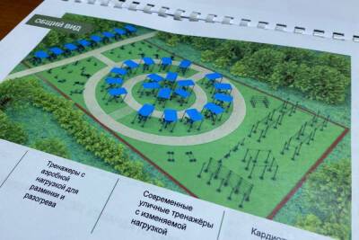 В Пензе в 2022 году планируется создать «Народный фитнес парк» - mk.ru - Пензенская обл. - Пенза