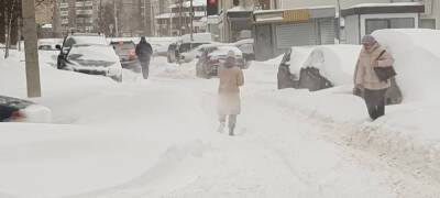 За ночь в Петрозаводске снежный покров вырос на пятую часть от максимума за всю зиму - stolicaonego.ru - Петрозаводск - республика Карелия