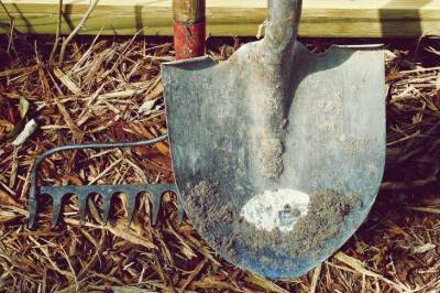 Чем обработать черенок лопаты, чтобы не было мозолей во время копки огорода - skuke.net