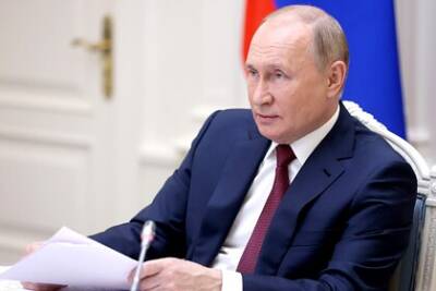 Владимир Путин - Стали известны главные цели визита Путина в Индию - lenta.ru - Москва - Россия - Индия - Нью-Дели