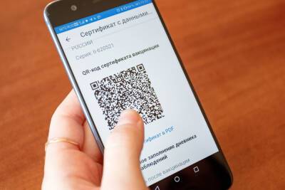 Волонтеры помогли великолучанам распечатать QR-коды - mk-pskov.ru - Россия - Псков