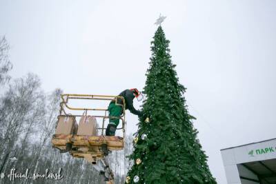 В Смоленске установили первую уличную новогоднюю елку - rabochy-put.ru - Смоленск - район Промышленный