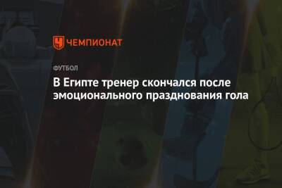 В Египте тренер скончался после эмоционального празднования гола - championat.com - Египет