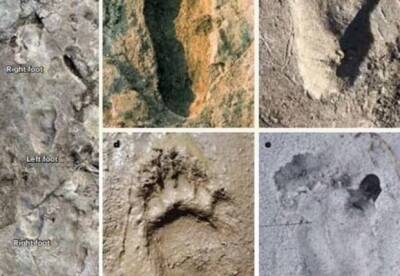 Ученые расшифровали таинственные следы из Африки, которым 3,7 млн лет - facenews.ua - Украина - Танзания