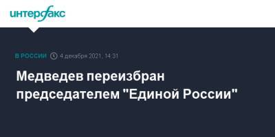 Дмитрий Медведев - Медведев переизбран председателем "Единой России" - interfax.ru - Москва - Россия