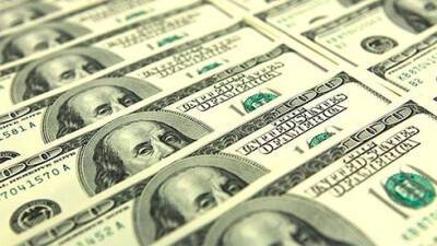 Продажа валюты НБУ у этом году пересекла миллиард долларов - bin.ua - Украина