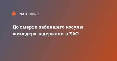 До смерти забившего косулю живодера задержали в ЕАО - ren.tv - Еврейская обл. - район Ленинский