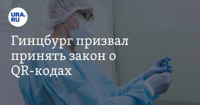 Александр Гинцбург - Гинцбург призвал принять закон о QR-кодах - ura.news - Россия