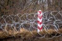 В Польше задержали украинцев, которые помогали нелегалам незаконно пересечь границу - vlasti.net - Украина - Белоруссия - Польша - Афганистан - Twitter