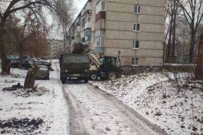 Александр Басенко - В Пензе по поручению Александра Басенко привели в порядок городские территории - mk.ru - Пенза