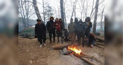 Польські прикордонники затримали двох громадян України на кордоні з Білоруссю: названо причину - fakty.ua - Украина - Білорусь - Афганістан