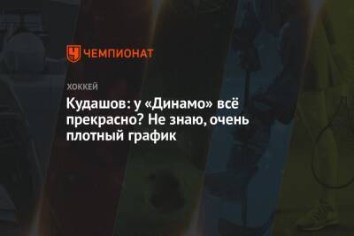 Алексей Кудашов - Кудашов: у «Динамо» всё прекрасно? Не знаю, очень плотный график - championat.com - Москва