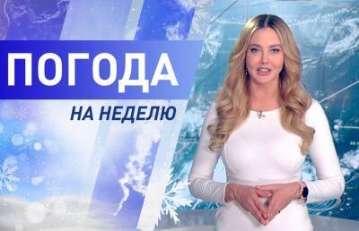 В среду похолодает до -18°С! Погода на неделю с 6 по 12 декабря. Подробный прогноз - ont.by - Белоруссия