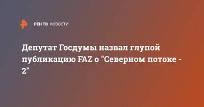 Игорь Ананских - Депутат Госдумы назвал глупой публикацию FAZ о "Северном потоке - 2" - ren.tv - Москва - Россия - Германия