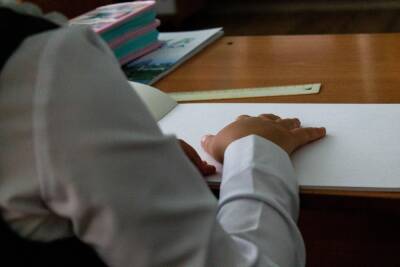 Педагог ударила ребёнка-инвалида на уроке в Новосибирске - sib.fm - Новосибирск