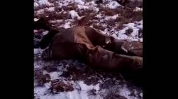Дороги Вологодской области продолжают уносить человеческие жизни - vologda-poisk.ru - Вологодская обл. - Череповец