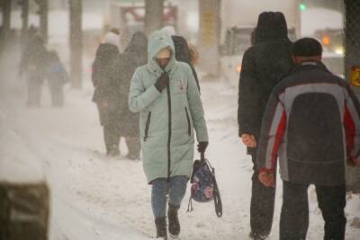 До -26 градусов похолодает на следующей неделе в Новосибирске - novos.mk.ru - Новосибирск
