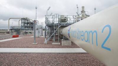 Юрий Витренко - Украинский - «Издевательство»: Украинский «Нафтогаз» осудил решение ФРГ по «Северному потоку — 2» - vm.ru - Украина - Германия