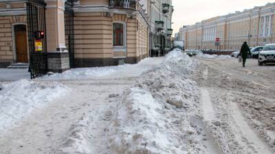 Молодые мамы Петербурга не могут выйти из дома с колясками из-за неубранного снега - inforeactor.ru - Санкт-Петербург