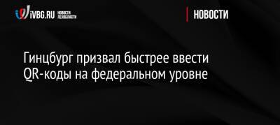 Александр Гинцбург - Гинцбург призвал быстрее ввести QR-коды на федеральном уровне - ivbg.ru - Украина