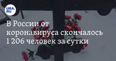 В России от коронавируса скончалось 1 206 человек за сутки - ura.news - Россия - Свердловская обл. - Курганская обл. - Югра - окр. Янао - Пермский край