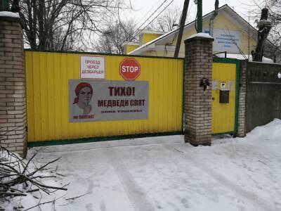 «Без мишек как-то пусто»: все косолапые обитатели центра «Велес» впали в зимнюю спячку - ivbg.ru - Украина
