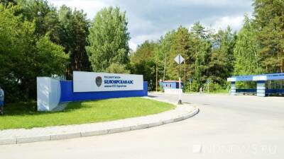 На Белоярской АЭС построят хранилище радиоактивных отходов - newdaynews.ru - Россия