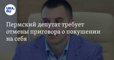 Пермский депутат требует отмены приговора о покушении на себя - ura.news - Россия - Челябинск - Пермь - Пермский край - Соликамск