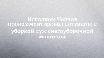 Исполком Челнов прокомментировал ситуацию с уборкой луж снегоуборочной машиной - chelny-izvest.ru