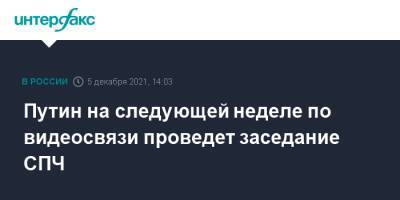 Владимир Путин - Путин на следующей неделе по видеосвязи проведет заседание СПЧ - interfax.ru - Москва - Россия