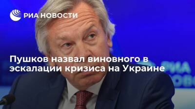 Йенс Столтенберг - Алексей Пушков - Майкл Макфола - Сенатор Пушков призвал экс-посла США в России узнать у Столтенберга, зачем НАТО Украина - ria.ru - Москва - Россия - США - Украина - Вашингтон