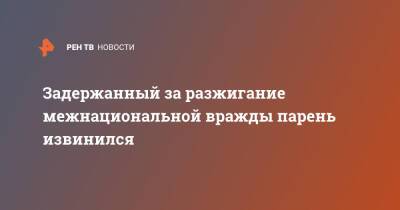 Задержанный за разжигание межнациональной вражды парень извинился - ren.tv - Россия