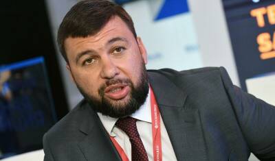 Мария Захарова - Сергей Лавров - Глава "ДНР" Пушилин обещает российские паспорта всем жителям республики - newizv.ru - Москва - Россия - Украина - ДНР - Донбасс