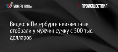 Видео: в Петербурге неизвестные отобрали у мужчин сумку с 500 тыс. долларов - ivbg.ru - Украина - Санкт-Петербург - Петербург