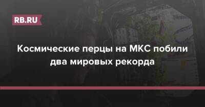 Космические перцы на МКС побили два мировых рекорда - rb.ru