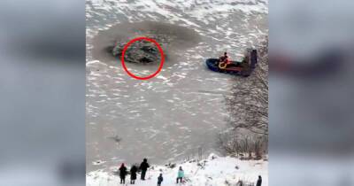 Мужчина провалился под лед в подмосковной Балашихе - ren.tv - Санкт-Петербург