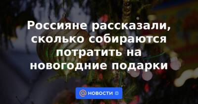Россияне рассказали, сколько собираются потратить на новогодние подарки - news.mail.ru - Санкт-Петербург - Ростов-На-Дону - Хабаровск