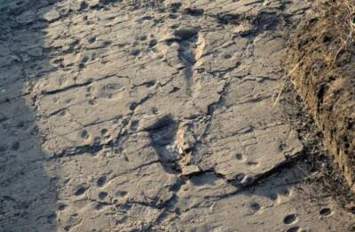 Человек или кто-то другой? Загадочные следы, оставленные миллионы лет назад, десятилетиями не дают покоя ученым - vchaspik.ua - Украина - шт. Огайо - Танзания - штат Нью-Гэмпшир