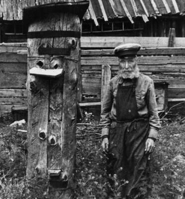 Башкирский мёд: почему он считается одним из самых полезных в мире - Русская семерка - russian7.ru - Башкирия
