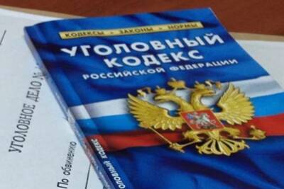 Александр Бастрыкин - СК взялся проверять выдуманную жалобу патриотов на Oxxxymiron и Noize MC - mk.ru