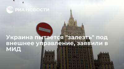 Александр Грушко - Замглавы МИД Грушко: Украина пытается "залезть" под внешнее управление "больших кураторов" - ria.ru - Москва - Россия - Украина - Киев